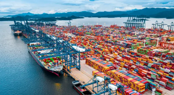 Responding to the Current Space Crunch: MSC Launches New Routes